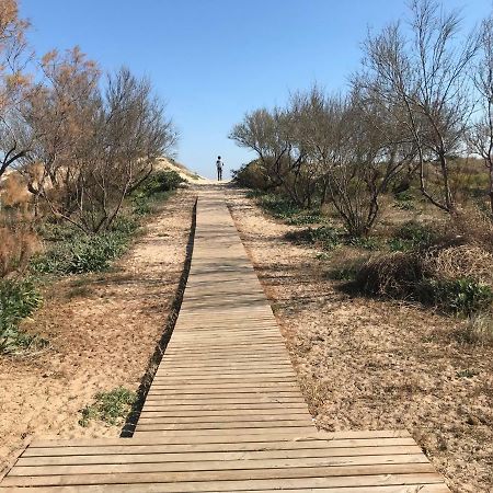 Atico Duplex En Aigua Blanca Oliva Lejlighed Eksteriør billede