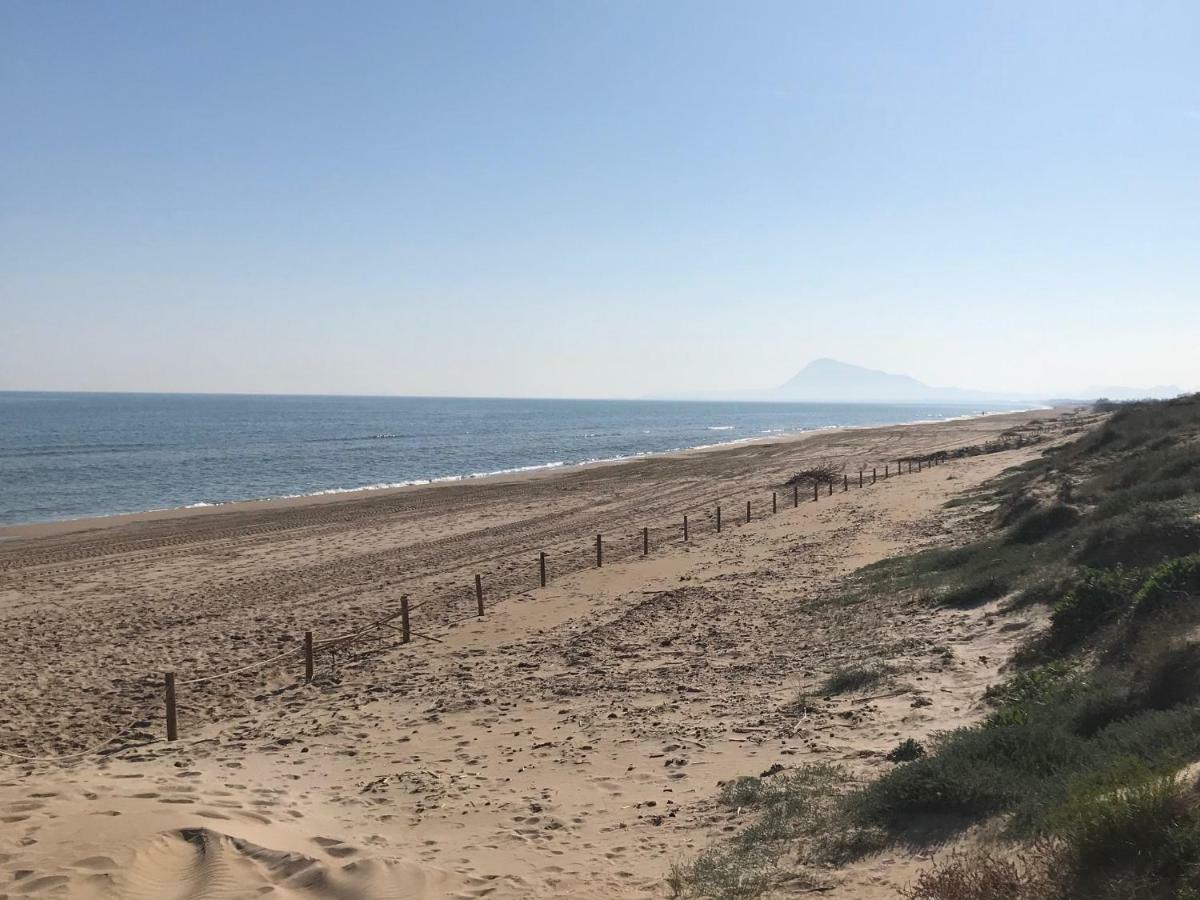 Atico Duplex En Aigua Blanca Oliva Lejlighed Eksteriør billede
