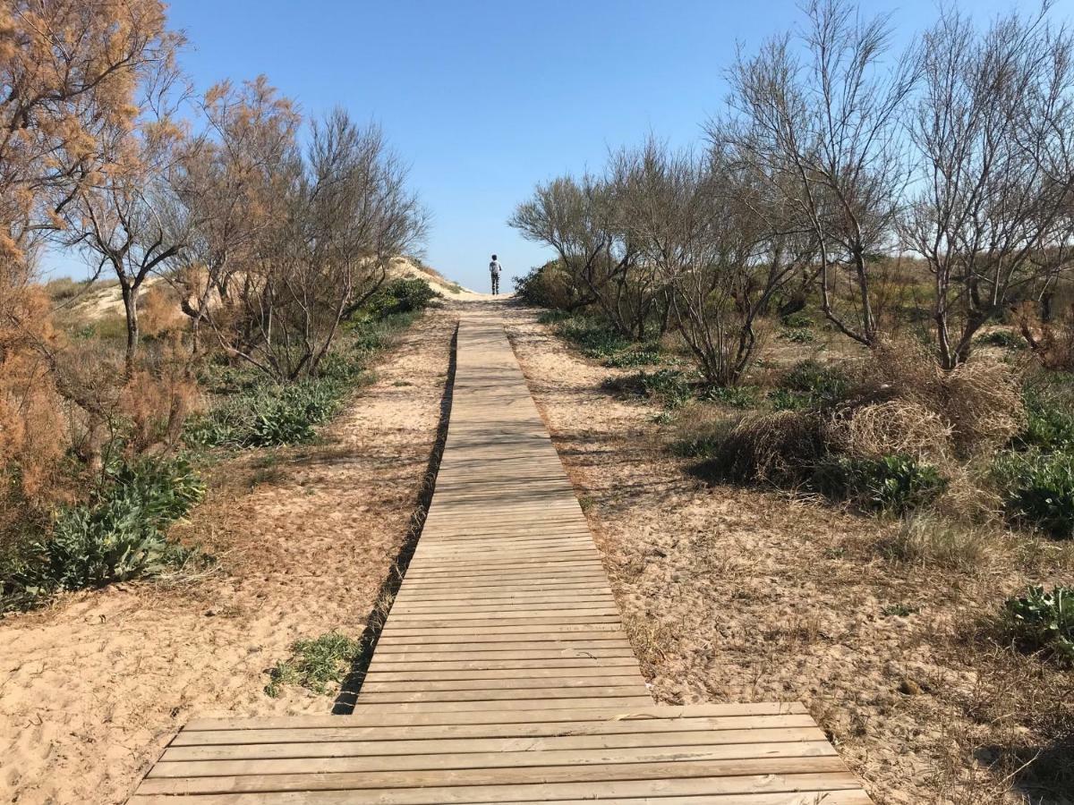 Atico Duplex En Aigua Blanca Oliva Lejlighed Eksteriør billede