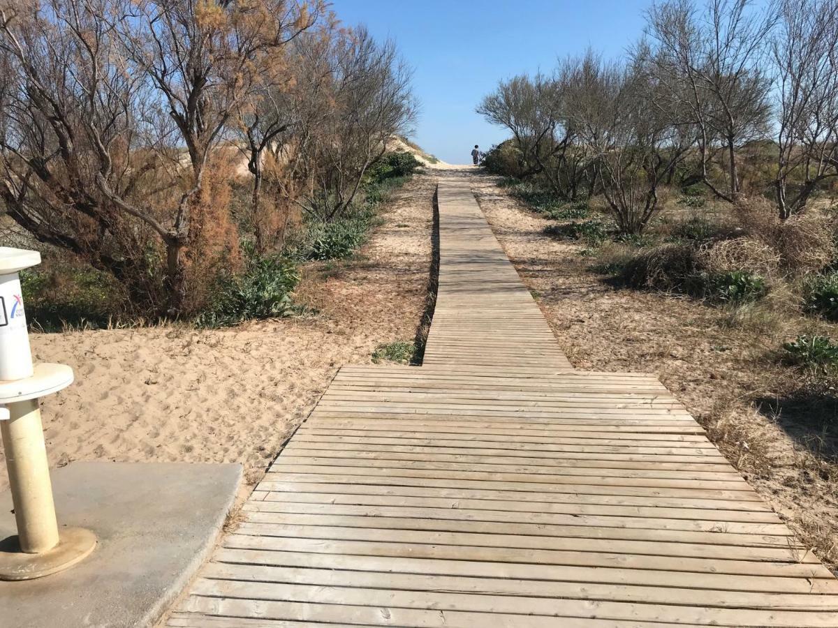Atico Duplex En Aigua Blanca Oliva Lejlighed Eksteriør billede